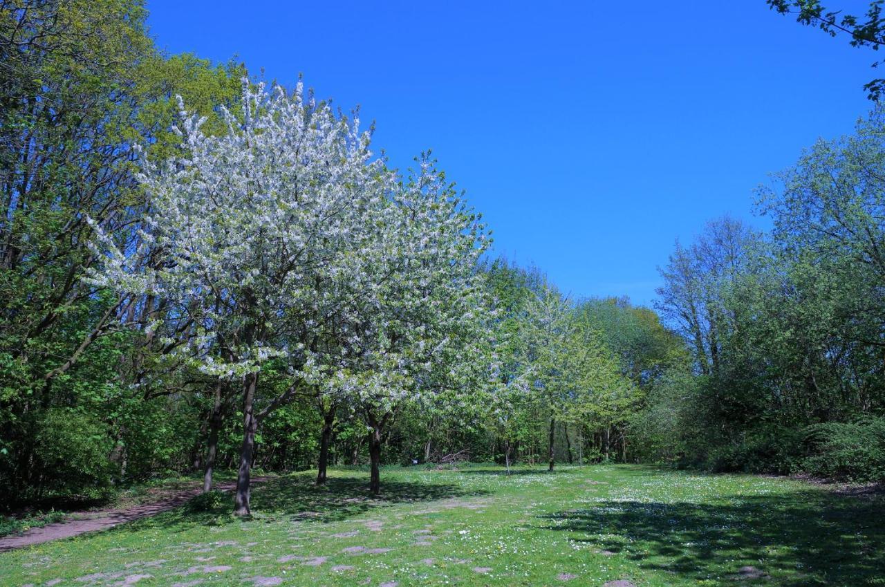 希尔克道夫Panoramic App A02-9 Schick-Lounge公寓 外观 照片